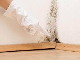 Best Residential Mold Inspection & Testing  in Ephrata, WA